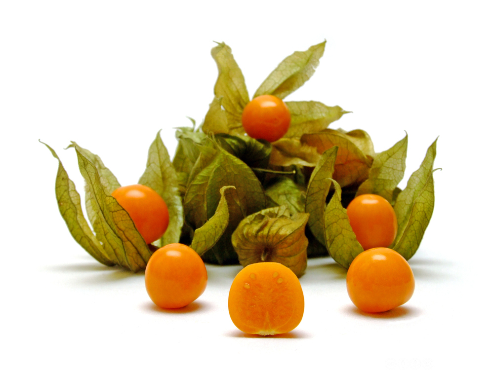 En haug med store, guloransje bær, noen av dem delvis inne i grønne, tørre blader. Foto.