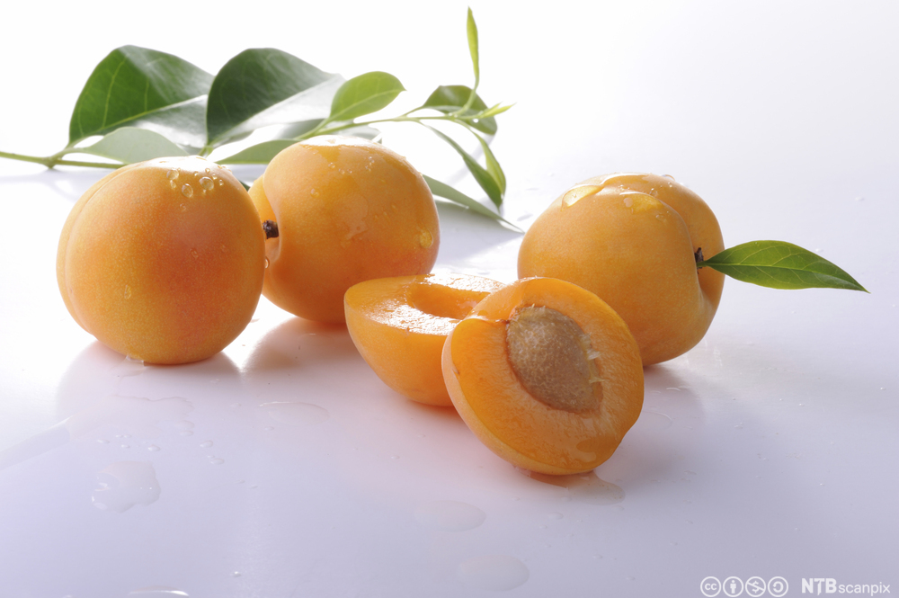 Aprikoser på et bord. Foto.