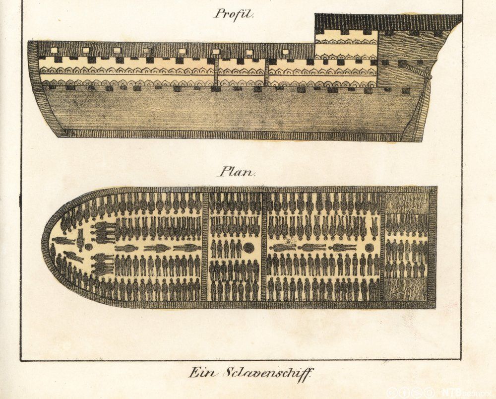 To illustrasjoner av et slaveskip, et tverrsnitt fra siden og ovenfra. I illustrasjonen ovenfra ligger flere kropper tett i tett på rekke helt fram i baugen av skipet. 