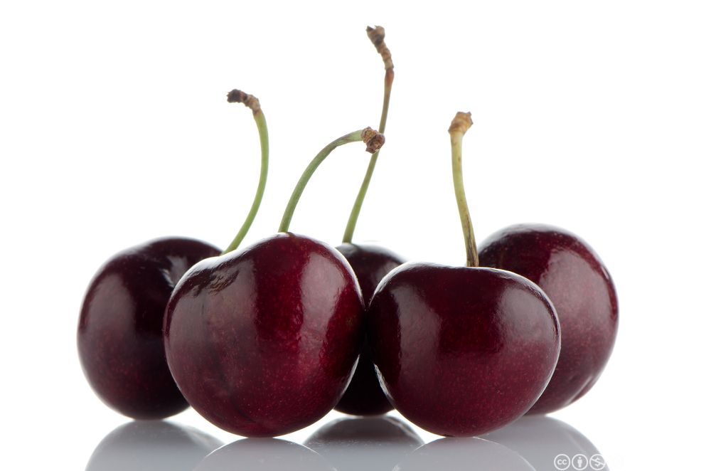 Kirsebær mot kvit bakgrunn. Foto.