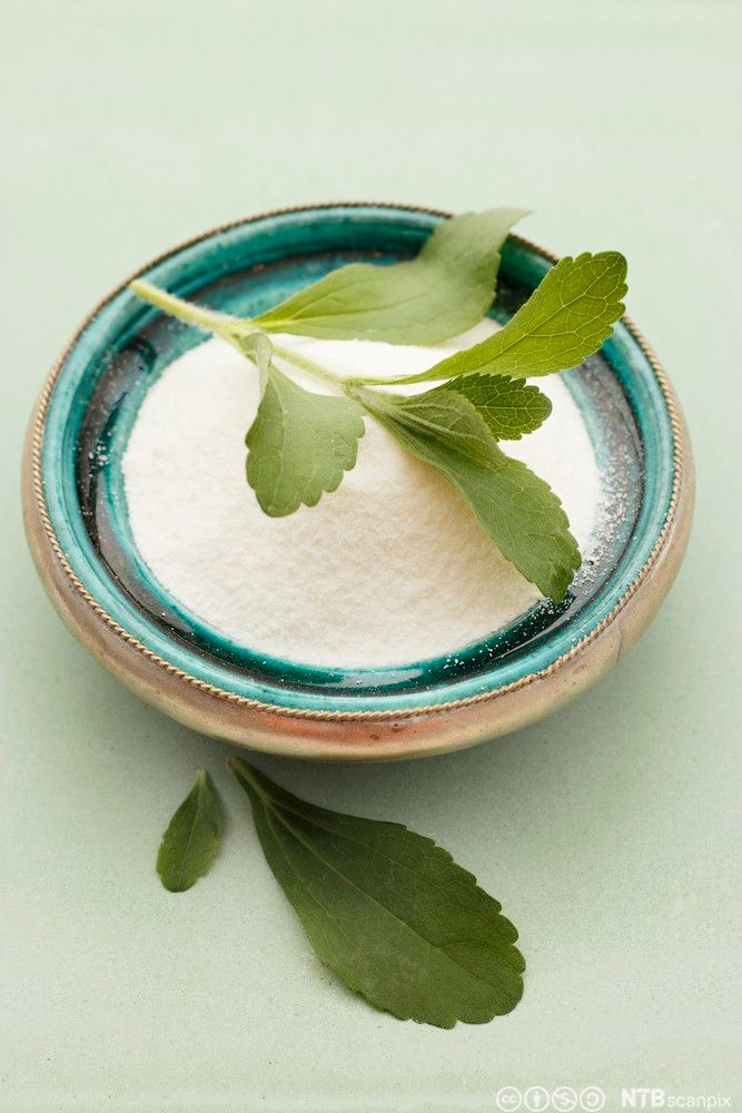 En kopp med kunstig stevia, og blader fra planten som ligger på toppen. Foto.