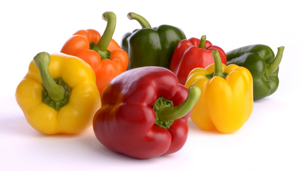 Paprika i ulike fargar: gul, oransje, grøn og raud. Foto.