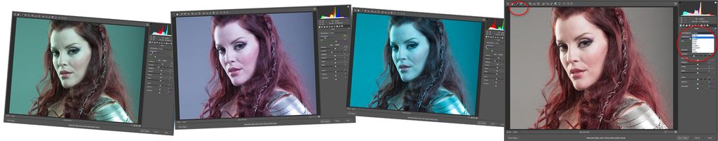 Skjermdump av forskjellige hvitbalanseringer fra Camera Raw.