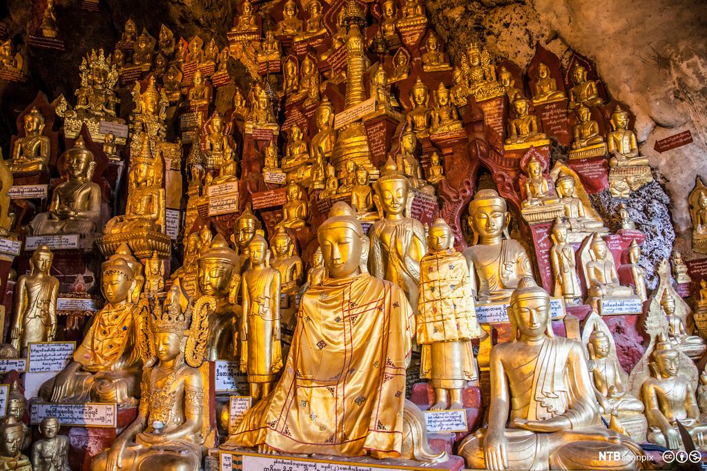 Et stort antall buddhastatuer i gull er oppstilt i en fjellvegg. Foto.