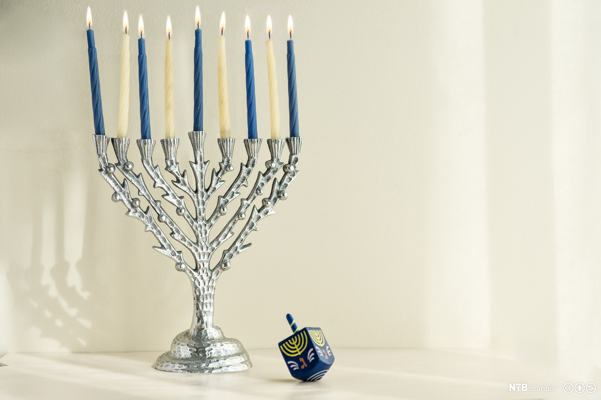 Hol mushuk porno Elvira Bolgova Internetda yalangoch holda Time is Money