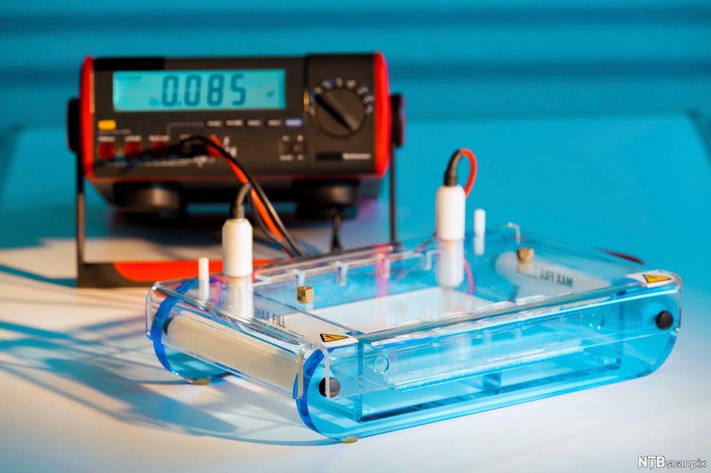 Oppsett av agarose gel-elektroforese. Foto.