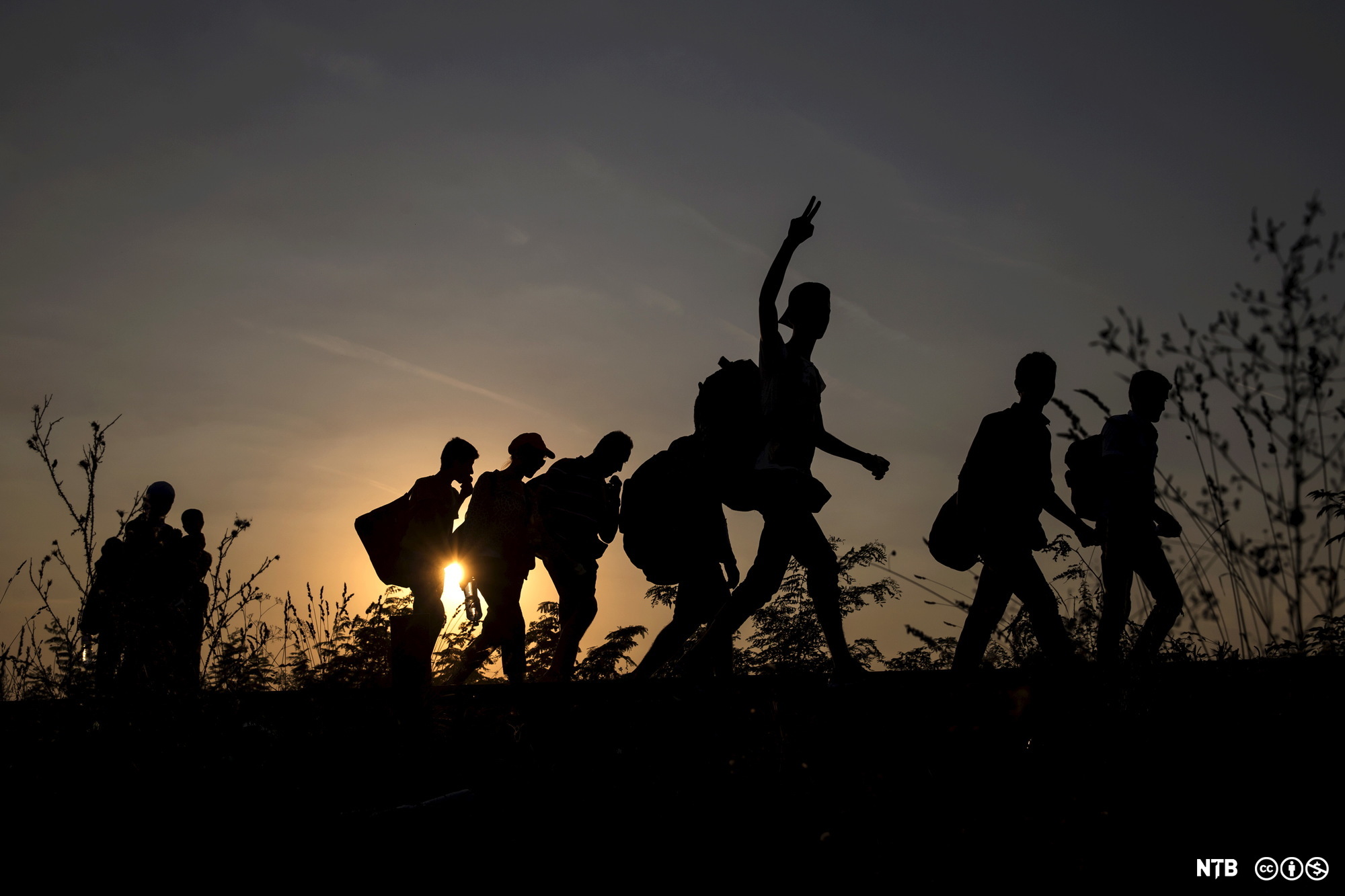 Silhouettes of 8 migrants crossing into Hungary. Photo. 