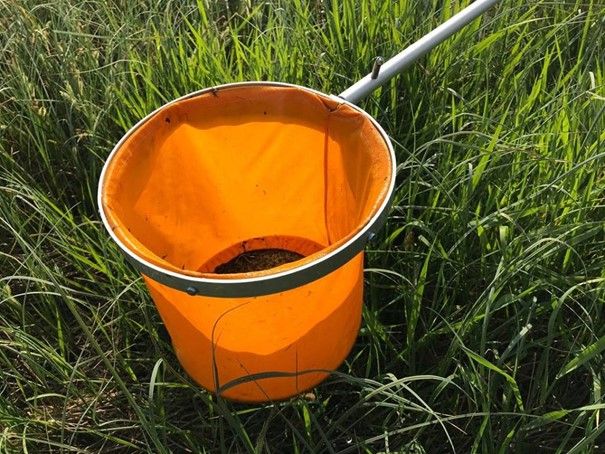 Oransje håv holdes over grønt gress. Foto.