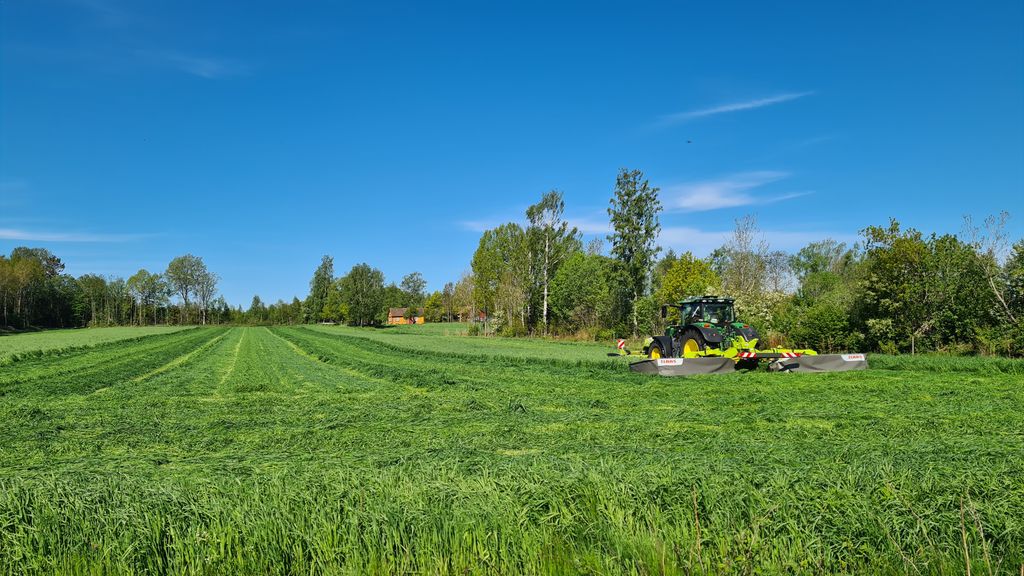 Traktor som slår gras med slåmaskin montert foran og bak. Graset ligger igjen i striper. Det er sol. Foto.