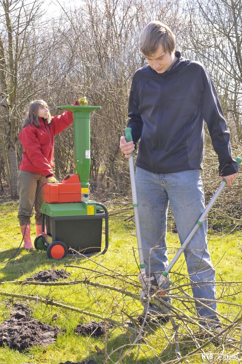 To ungdommer, en gutt og ei jente, som gjør hagearbeid. Gutten klipper kvister med greinsaks, og jenta putter kvister i kvistkvern. Foto.