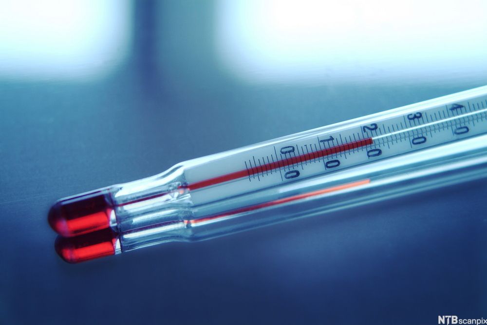 Glasstermometer med rødfarget alkohol som medium. Foto.