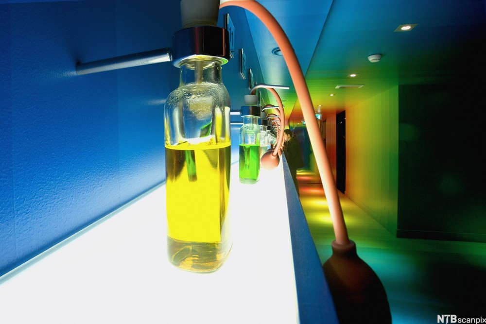 Luktetest av genever. Foto.