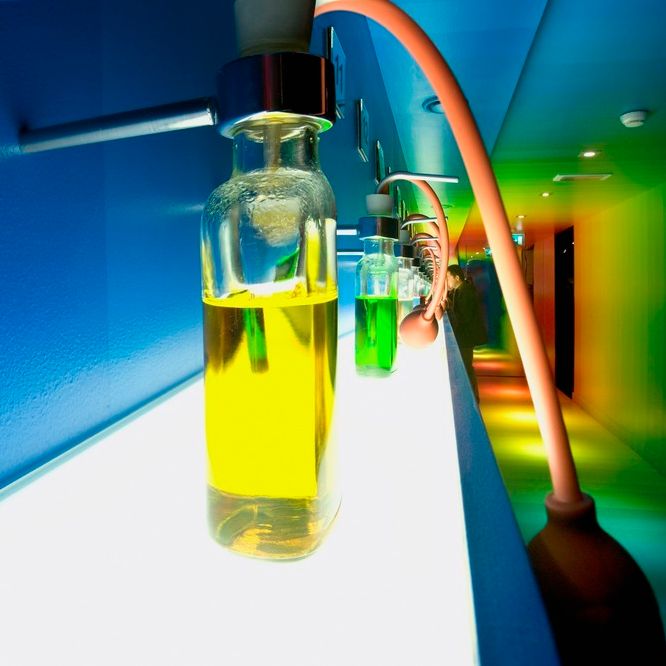 Luktetest av genever. Foto.