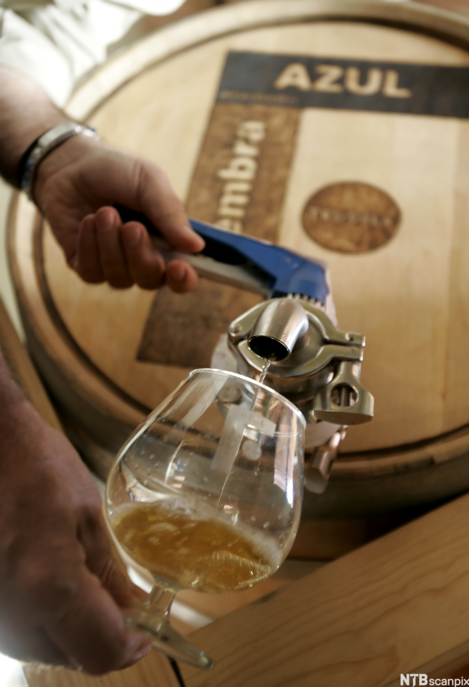 Tapping av tequila direkte fra tønne. Foto.