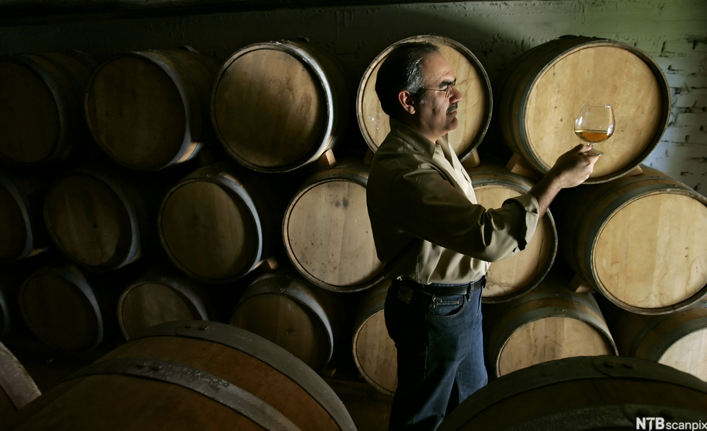 En mann står med et glass i hånda foran flere store tønner. Foto.