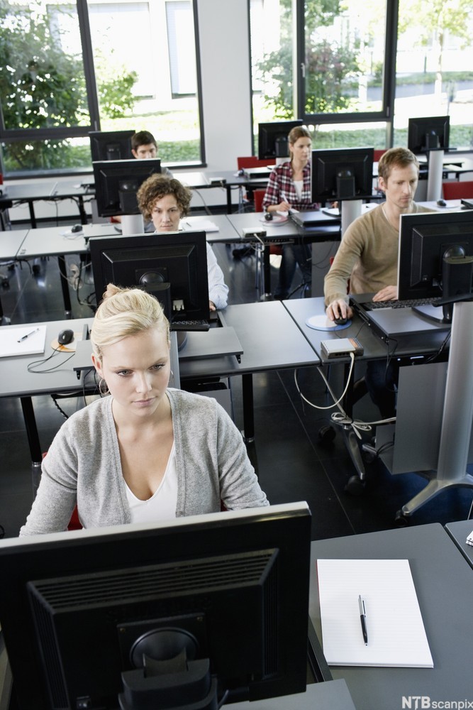 Ansatte deltar på et datakurs og sitter konsentrert ved hver sin PC. Foto.