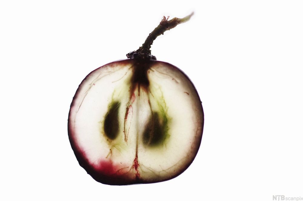 En drue delt i to. Foto.