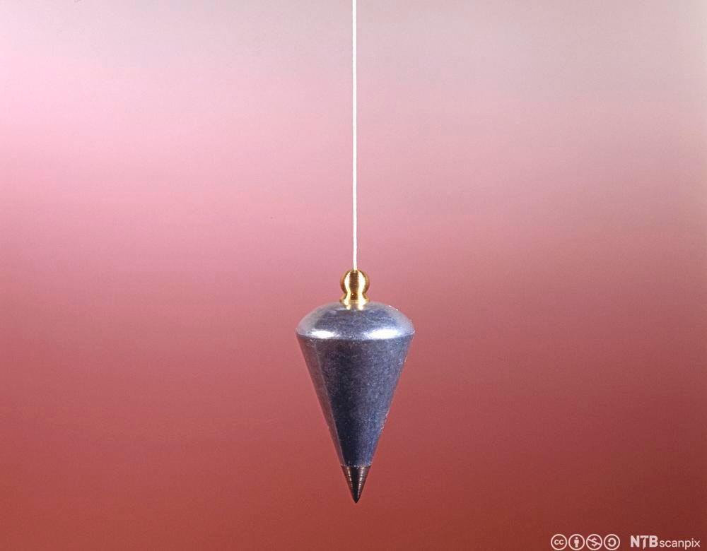 Lodd som henger i en snor. Foto.