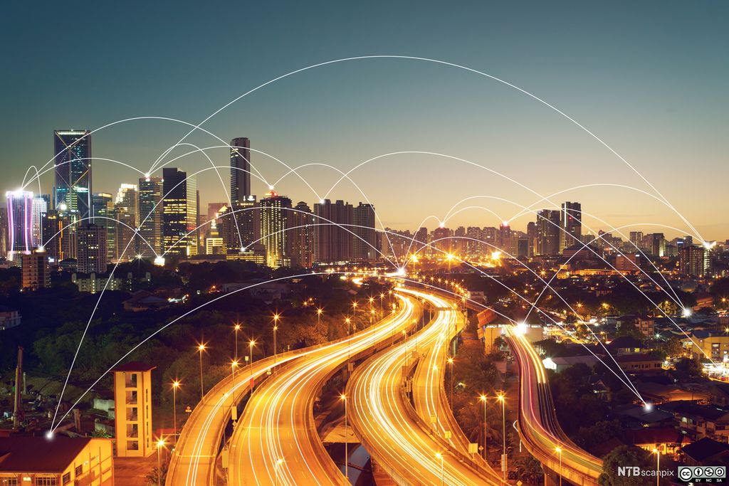 Trafikklys i metropolnatta . Bilde.