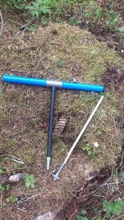 Tilvekstbor som ligger på skogsbunn. Foto.