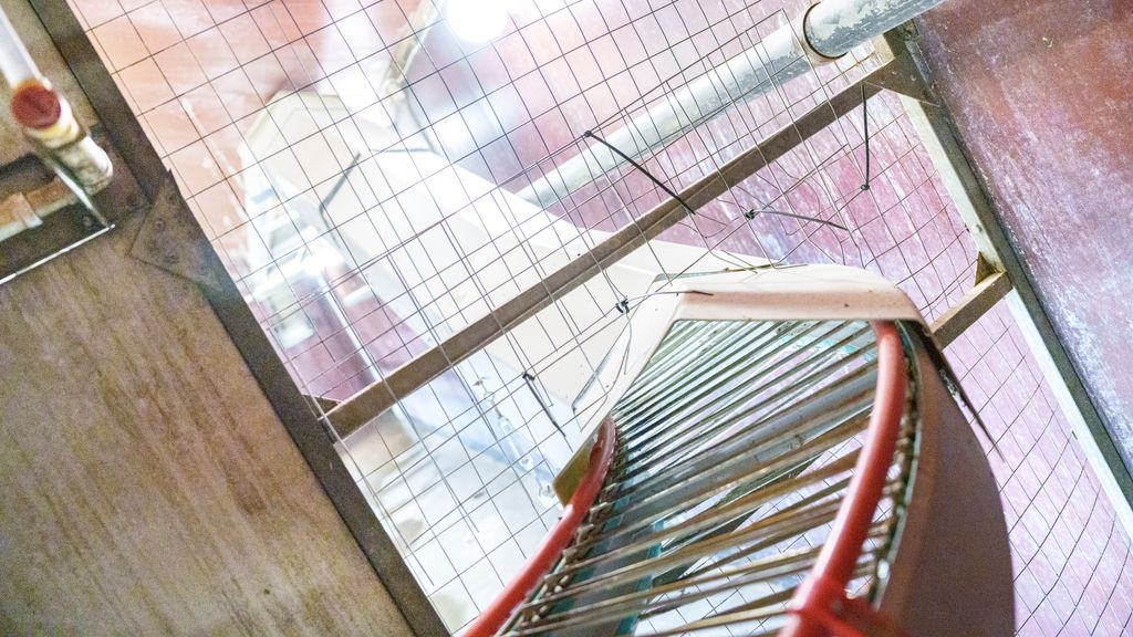 Del av innredning i et hønsehus. Et samlebånd for å frakte egg går gjennom en nettingvegg. Foto.