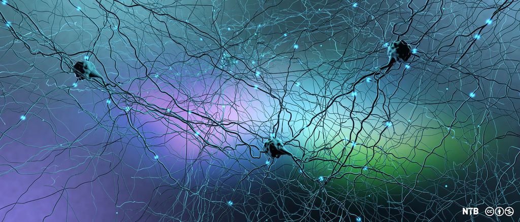 Nerveceller med mange utløpere som danner et nettverk. Illustrasjon.