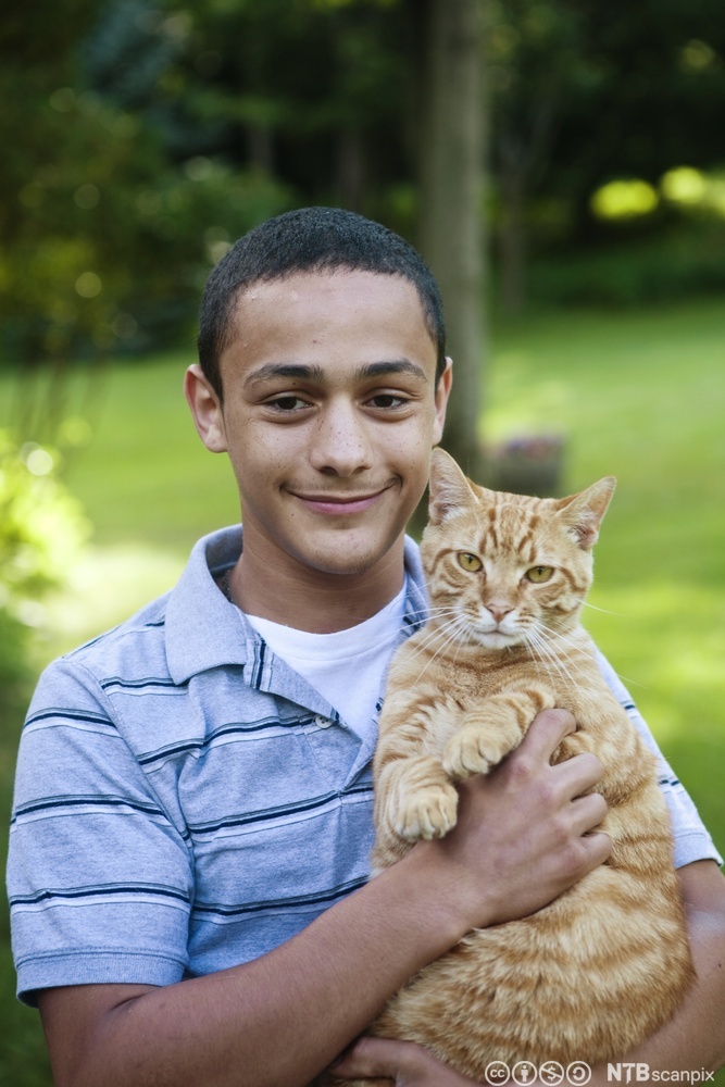 Gutt med katt. Foto.