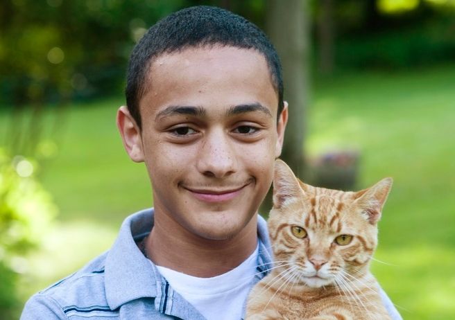 Gutt med katt. Foto.