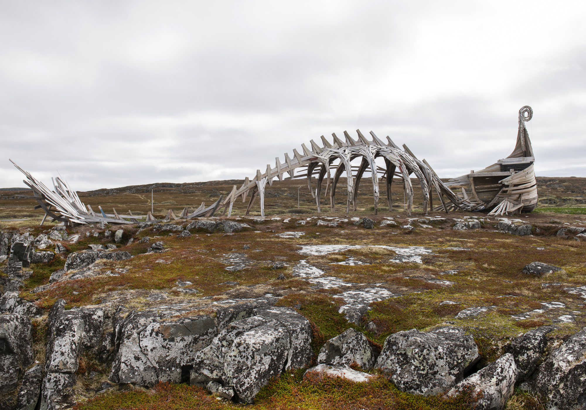 Treskulptur ute i et viddelandskap. Formen minner om baugen på et vikingskip som går over i et dyreskjelett og ender opp i en hale. Foto.