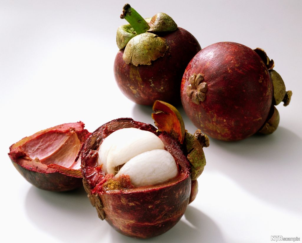 Mangostan. Foto.