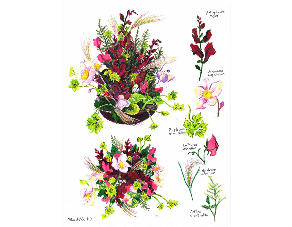 Tegning av høy dekorasjon i grunnriss og oppriss. De seks blomstersortene som er brukt i dekorasjonen, er tegnet hver for seg til høyre. Illustrasjon.