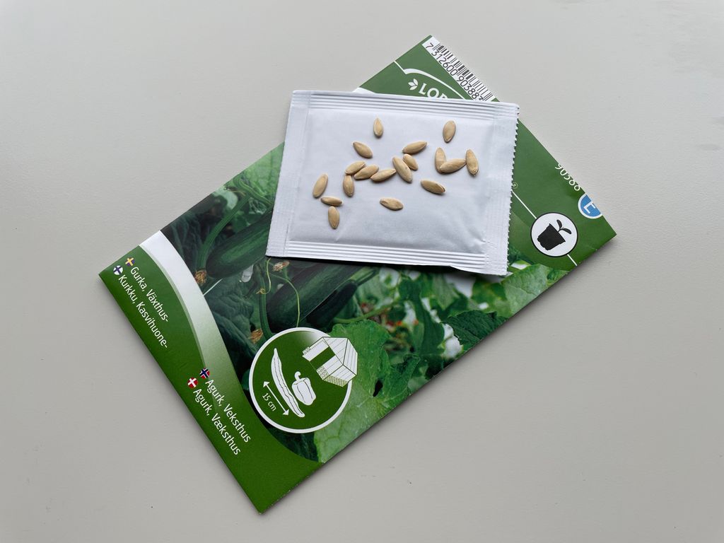 Framside av en liten, flat frøpose som det ligger store frø på. På posen står det agurk, veksthus. Foto.