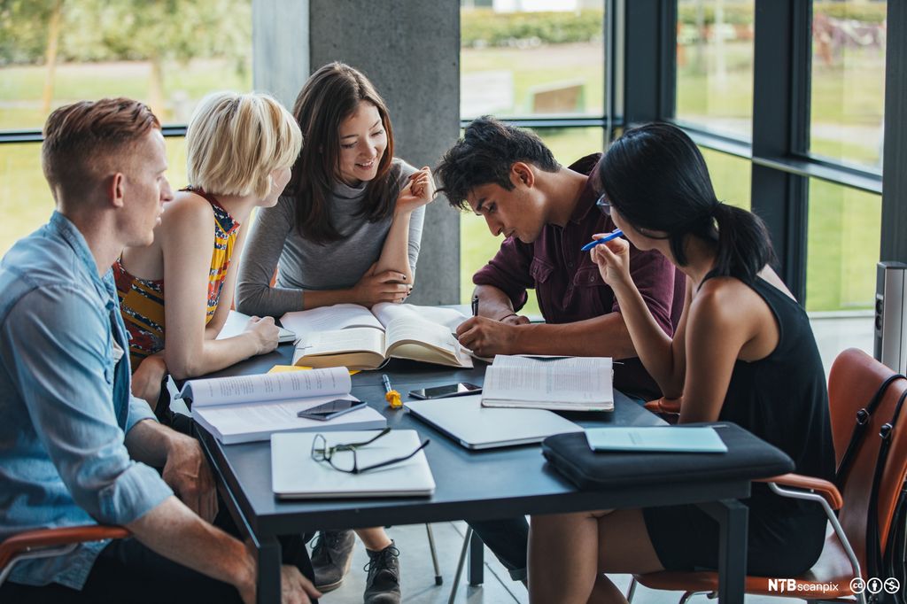 Fem ungdommar sit rundt eit bord og samarbeider om skulearbeid. Dei har oppslåtte bøker framfor seg og ein pc. Foto.
