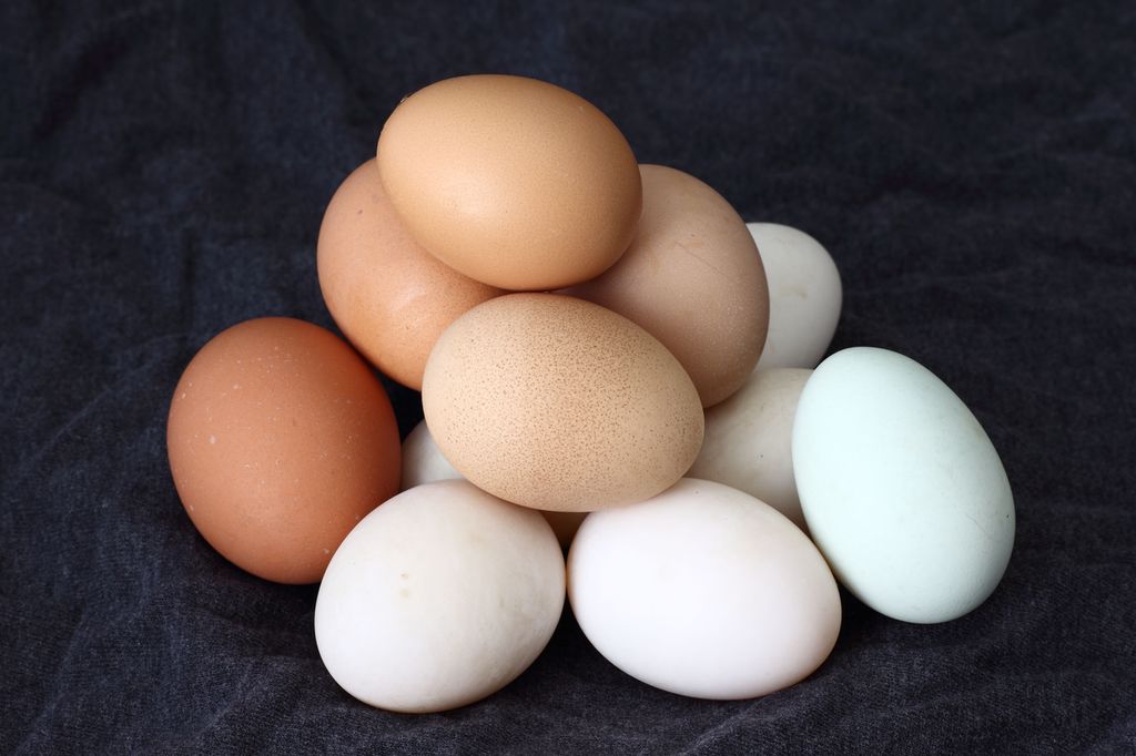 Brune og hvite egg stablet i en haug. Foto.