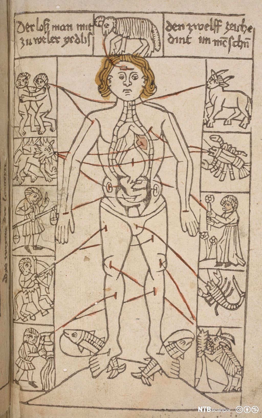 Tegning av menneskefigur med stjernetegn og symboler rundt kroppen. Illustrasjon.