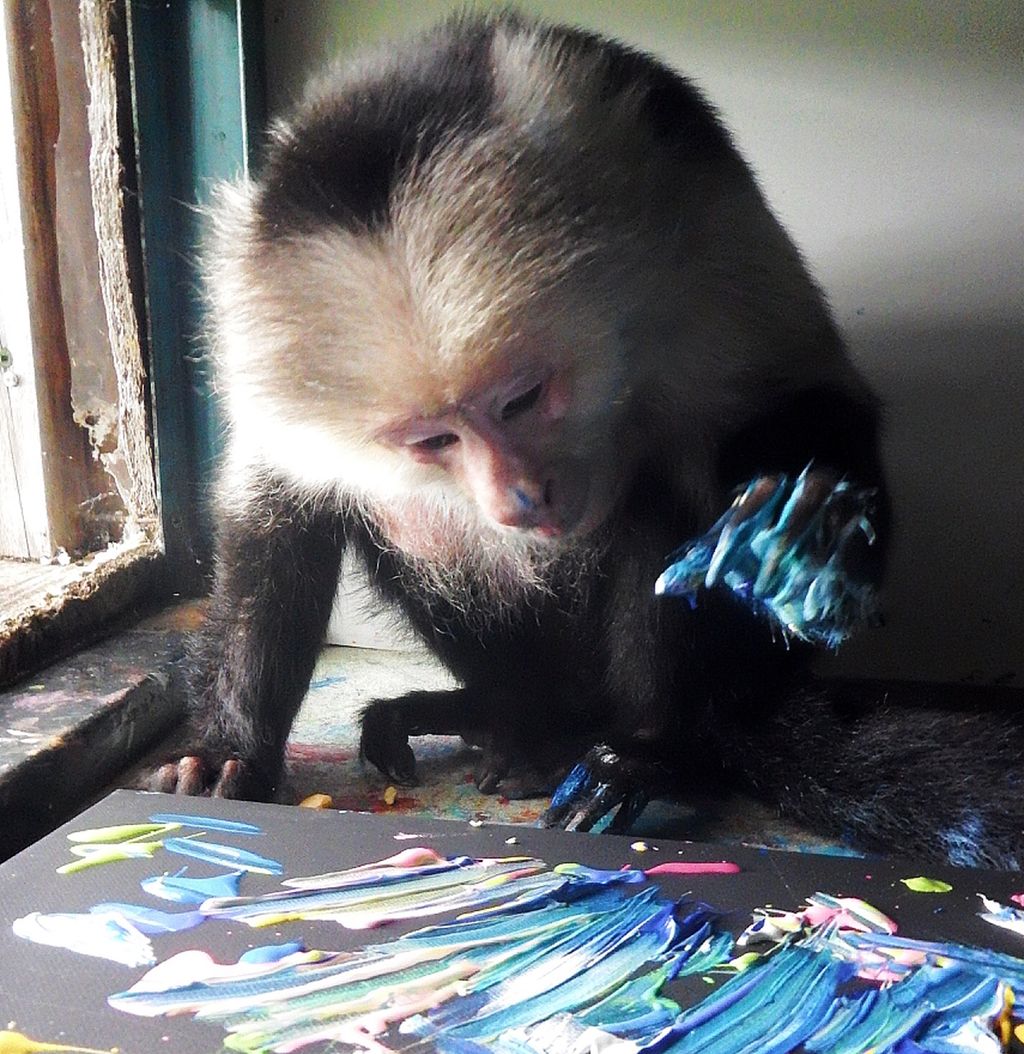 Apekatt som målar eit måleri med den eine handa. Foto.