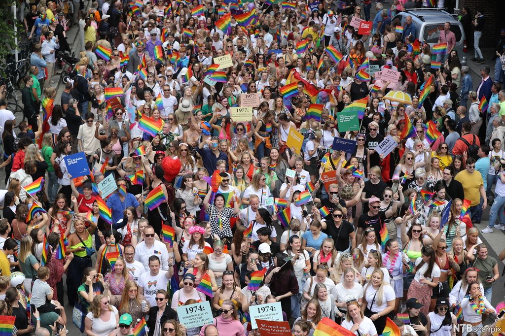 Mange mennesker går i tog med plakater og regnbueflagg. Foto.