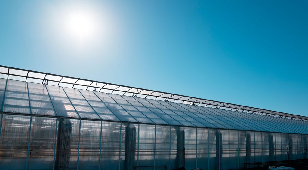 Langsida og deler av taket på et veksthus med åpne lufteluker i taket. Foto.