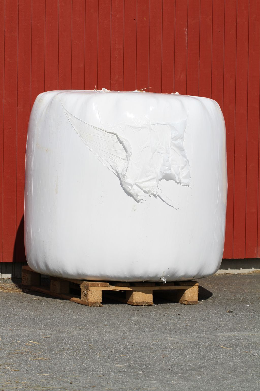 En rundballe pakka i hvit plast. Foto. 