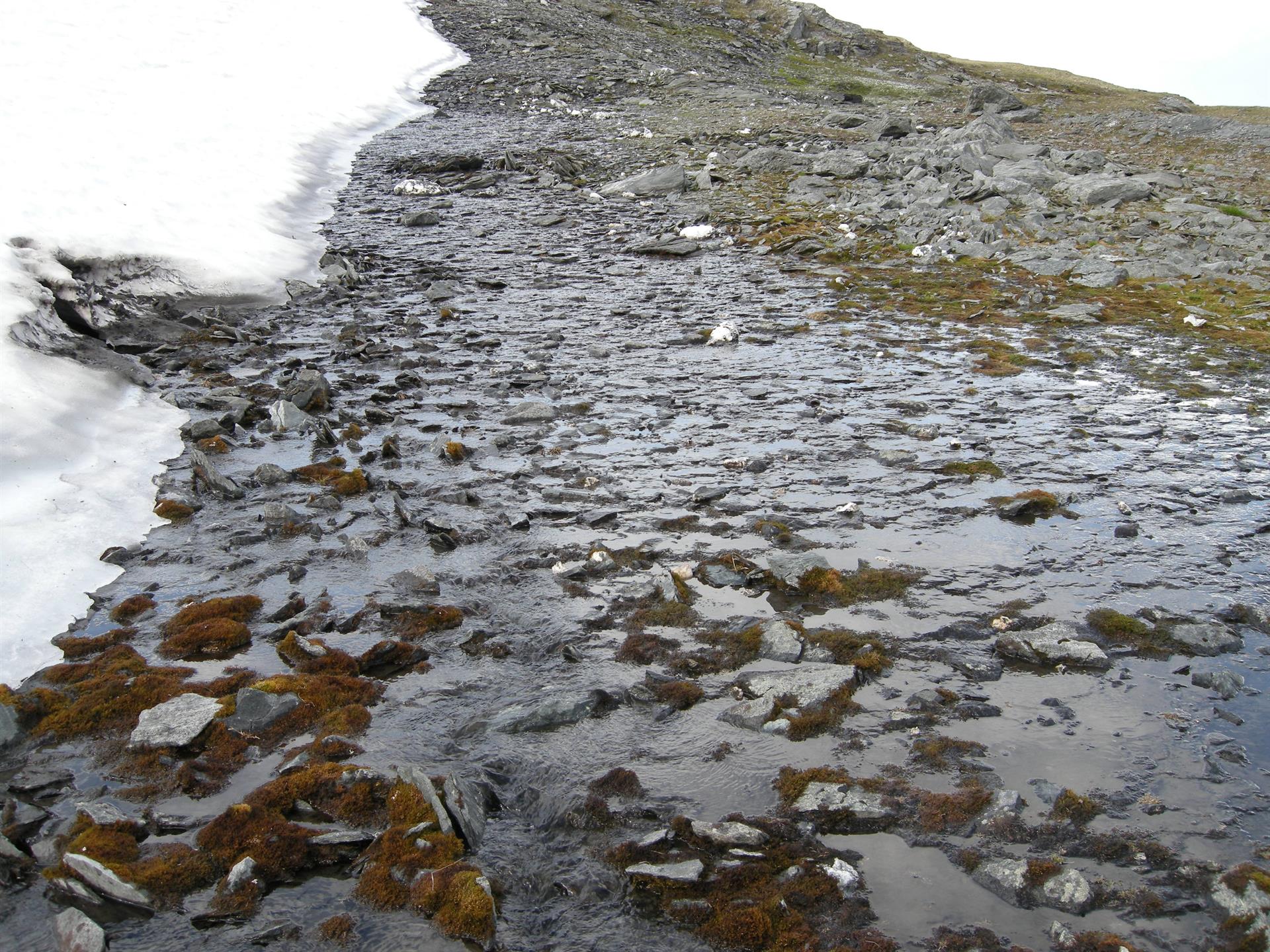 Slak skråning med snø, smeltevann, stein og mose. Foto.