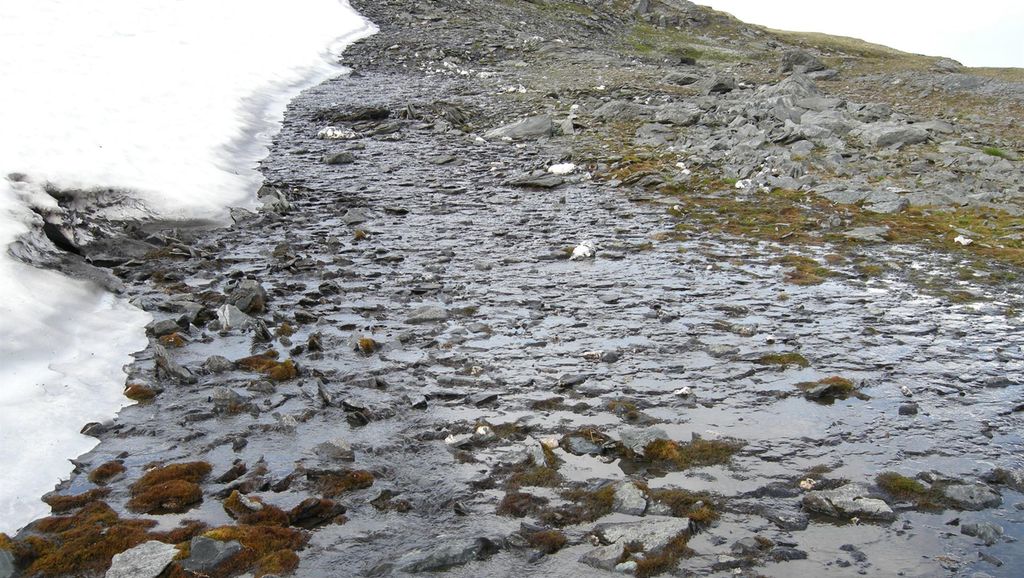 Slak skråning med snø, smeltevann, stein og mose. Foto.