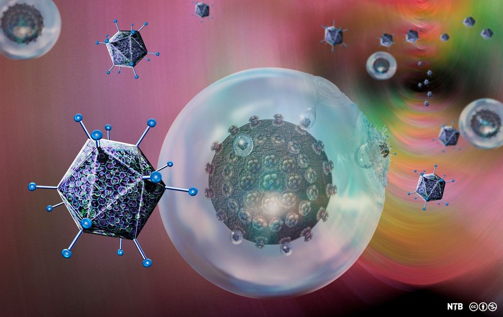 Virus som angriper en kreftcelle. Illustrasjon. 