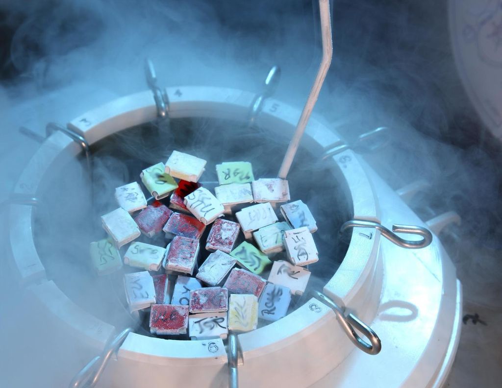 Flere frosne eggprøver tas opp fra en tank med flytende nitrogen. Foto.