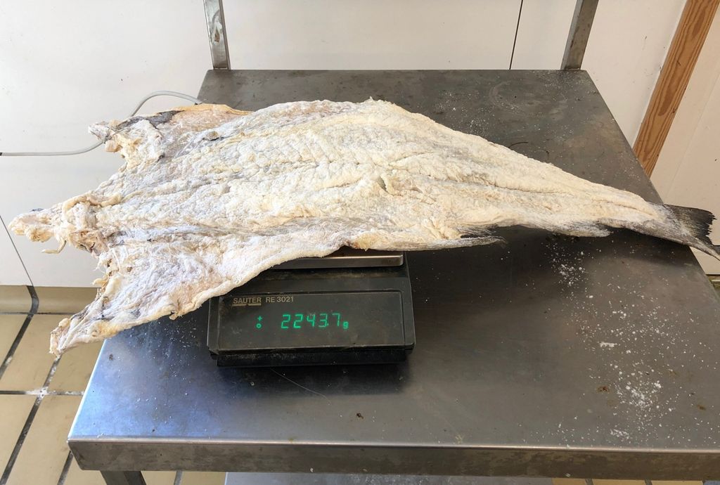 Klippfiskfilet som ligger på ei vekt. Vekta viser 2243,7 gram. Foto. 