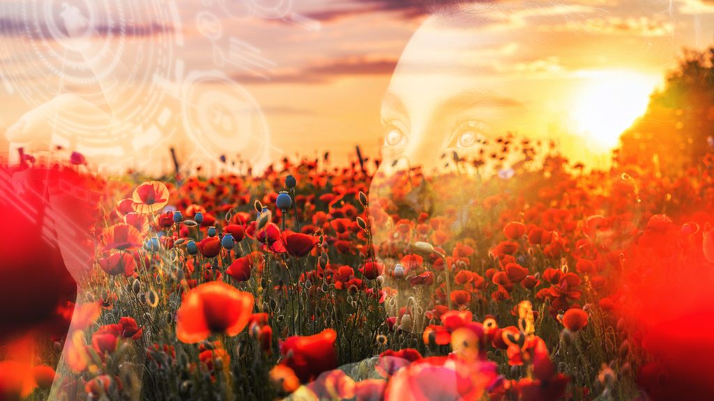 Eng med røde blomster i solnedgang. Portrett av ei jente ligger delvis gjennomsiktig over bildet. Illustrasjon.