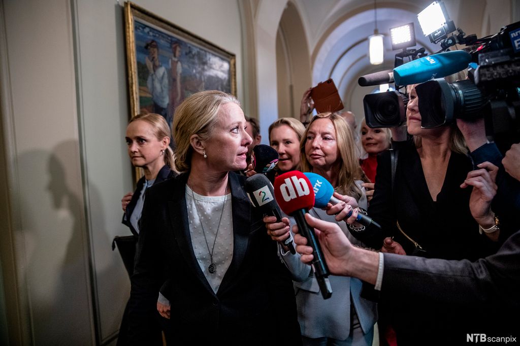 Kvinne omgitt av en horde journalister. Foto.