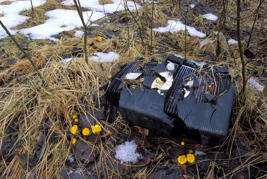 Gammelt, ødelagt bilbatteri i naturen. Hestehov titter opp rundt det. Foto.