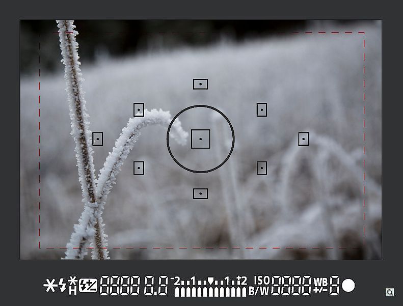 Ni fokuspunkter på en kameraskjerm. Foto.