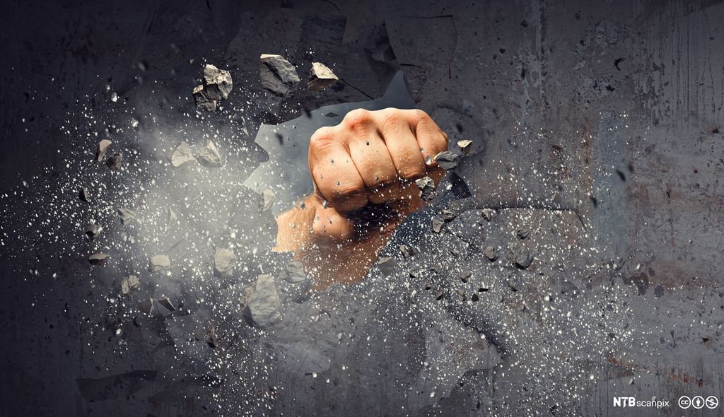 Knyttneve bryter gjennom veggen med makt. Foto.
