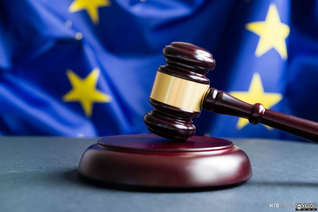 Bilde av lovhammer med EU flagg i bakgrunnen. Foto.